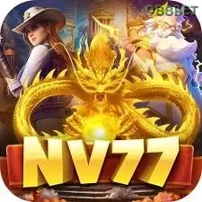 Ikon nv77
